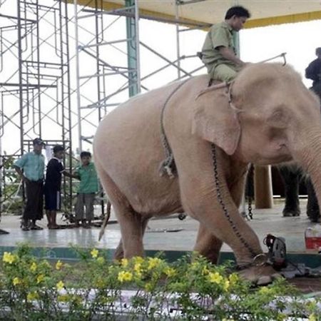 스타 월드 호텔 Naypyidaw 외부 사진